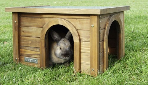 Casetta legno large per - in,
